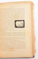 dr. Czobor Béla: A keresztény műarcheológia encyclopaediája kiváló tekintettel a hazai műemlékekre. ...