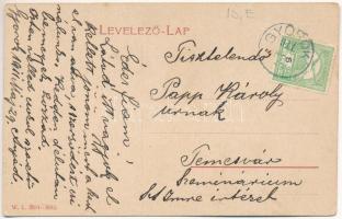 1911 Gyorok, Ghioroc; Nádasdy tér, Eichner Adolf és Fia üzlete. W.L. 3094-3082. / square, shop (gyűr...