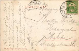 1908 Zólyom, Zvolen; látkép. Özv. Hegyt. Györgyné kiadása / general view + "ODERBERG - BUDAPEST...