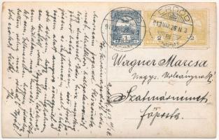 1913 Erdőd, Károlyierdőd, Ardud (Szatmár); ház a folyó partján / house on the river bank. photo (EK)