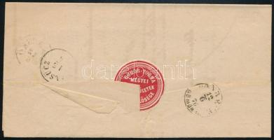 1876 Hivatalos levél "AJNÁCSKÖ" - "PELSÜCZ"