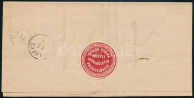 1876 Hivatalos levél "AJNÁCSKÖ" - "PELSÜCZ"