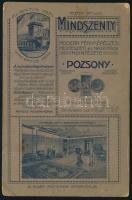 cca 1915 Katonaportré, keményhátú fotó Mindszenty pozsonyi műterméből, hátoldalon a műterem képével,...