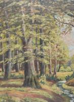 Neogrády László jelzéssel: Erdőrészlet. Olaj, farost. 60x80 cm