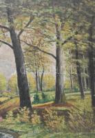 Neogrády László jelzéssel: Erdőrészlet. Olaj, farost. 60x80 cm