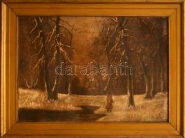 Mednyánszky jelzéssel: Vadász az erdőben. Olaj, karton. Vetemedett. Fakeretben. 70x100 cm. KIZÁRÓLAG...