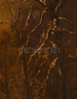 Mednyánszky jelzéssel: Vadász az erdőben. Olaj, karton. Vetemedett. Fakeretben. 70x100 cm. KIZÁRÓLAG...