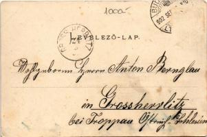 1902 Budapest, Buda látképe, Mátyás-templom, Halászbástya, gőzhajók. Ganz Antal 7. (EK)