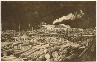 Bánffytelep, Fiad (Telcs, Telciu); Vedere generala / fűrésztelep, fatelep / sawmill, lumber yard, wood industry (EK)