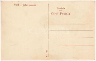 Bánffytelep, Fiad (Telcs, Telciu); Vedere generala / fűrésztelep, fatelep / sawmill, lumber yard, wo...