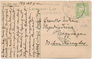 1914 Illye, Ciumeghiu; Miskolczy kúria, kastély, kert / castle, park (kis szakadás / small tear)