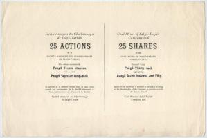 1929. Makó "Makói Népbank Részvénytársaság" részvénye 50P-ről, szelvényekkel, szárazpecsét...