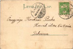 1903 Bártfa, Bártfafürdő, Bardejovské Kúpele, Bardiov, Bardejov; Deák szálloda, Erzsébet királyné (S...