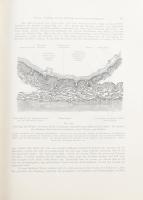 Bumm, Ernst: Grundriss zum Studium der Geburtshülfe. Wiesbaden, 1905, J. F. Bergmann, XI+(1)+787+(5)...