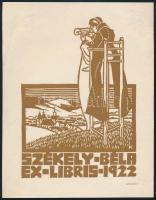 Kós Károly (1883-1977): Ex libris Székely Béla. Fametszet, papír, jelzett a metszeten, hátoldalán apró felületi sérülésekkel, 13,5x9,5 cm.