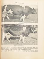 Becker, W.: Neuzeitliche Tierheilkunde. Handbuch der Gesundheitspflege, Zucht, Geburtshilfe, des Huf...