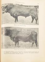 Becker, W.: Neuzeitliche Tierheilkunde. Handbuch der Gesundheitspflege, Zucht, Geburtshilfe, des Huf...