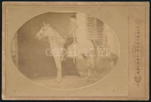 cca 1900 Lovas huszár kabinetfotója, 10,5×16,5 cm