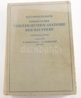 Ellenberger - Baum: Handbuch der vergleichenden Anatomie der Haustiere. Berlin, 1943, Springer, XV+(1)+1155+(1) p. Gazdag szövegközti képanyaggal illusztrálva. Német nyelven. Kiadói egészvászon-kötés, viseltes borítóval, helyenként foltos lapokkal, bejegyzésekkel.