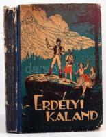 Rónay Mária: Erdélyi kaland. Országjáró VI. b. Györgyfi György rajzaival. Bp., (1941), Hungária. Kiadói illusztrált félvászon-kötés, sérült gerinccel, kopott borítóval,