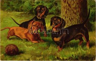 1926 "Unsere Dackel" / Dachshund dogs art postcard. Wenau-Delila No. 1313D. s: A. Weczerzick (kis szakadás / small tear)