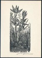 Nagy László Lázár (1935-2019): Ex libris Szepesváriné Rácz Mária (tarka sáfrány). Fametszet, papír, jelzett, 12×5,5 cm
