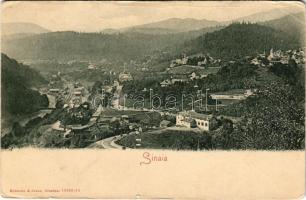 Sinaia, Römmler &amp; Jonas (Dresden) / general view from the valley (EB)