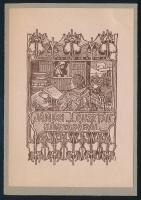 Nagy Sándor (1868-1950): Jánosi Gusztáv könyvtárából (szecessziós ex libris), 1905 körül. Vonalas klisé, papír, jelzett a klisén, lap teteje papírra kasírozva, 11×7 cm