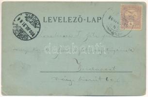 1900 Tusnádfürdő, Baile Tusnad; Hotel Sveiz szálloda, Sólyomkő, Kristó szálloda este holdfényben. Ad...