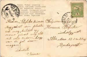 1905 Húsz és tíz koronás magyar bankjegy. Szecessziós montázs újévi motívumokkal: lóhere, gomba / Hu...