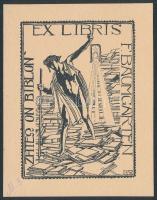 Nagy Sándor (1868-1950): Ex libris F. Baumgarten (szecessziós könyvjegy). Vonalas klisé, papír, jelzett a klisén, teteje kartonra kasírozva, 8,5×6 cm
