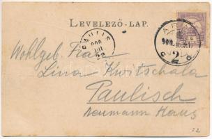 1900 Arad, Színház és Nagy Lajos szálloda, 1848 Múzeum. Römmler &amp; Jonas / theatre, hotel, mu...