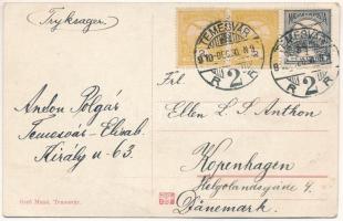 1910 Temesvár, Timisoara; Hunyadi út, gyógyszertár, sörcsarnok. Gerő Manó kiadása / Hunyadi-Strasse,...