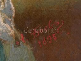 Olvashatatlan jelzéssel, XIX. sz. vége, feltehetően osztrák festő: Copfos lányka, 1895. Olaj, fatábl...