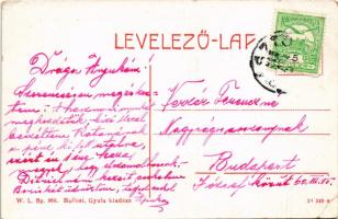 Pásztó, Gróf Almássy (Almásy) kastély. W.L. Bp. 966. Hollósi Gyula kiadása (EB)