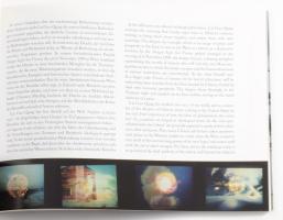 Cai Guo-Qiang. I am the Y2K bug. Kunsthalle Wien. Wien, 1999, Walther König. Német nyelvű kiállítási...