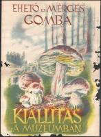 Lehmayer Ferenc (1909-1979): Ehető és mérges gomba, kiállítás a múzeumban plakát, szakadásokkal, hiányokkal, 38×28 cm