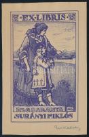 Nikelszky Géza (1877-1966): Ex libris Surányi Miklós, pro Baranya. Kollotípia, papír, jelzett, 9×6 cm