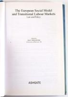 Ralf Rogowski: The European Social Model and Transitional Labour Markets. Law and Policy. Farnham, 2...