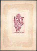 Nagy Árpád Dániel(1922-1985): Ex libris Dr. Semseyné Valkó Ilona. Rézkarc, papír, jelzett a karcon, 9,5x6 cm.