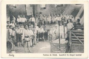 Felek, Freck, Avrig; Üveggyár, munkások csoportja. Gh. Maxim kiadása / Fabrica de Sticla, Lucratori in timpul lucrarei / glassworks, glass factory, group of workers (Rb)