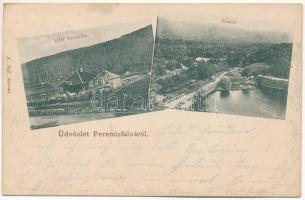 1900 Ferencfalva, Franzdorf, Valiug (Resicabánya, Resita); Villa Veronika, Klause. K. Neff kiadása / villa, dam (fl)
