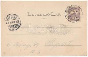 1900 Ferencfalva, Franzdorf, Valiug (Resicabánya, Resita); Villa Veronika, Klause. K. Neff kiadása /...