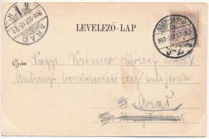 1900 Nagyvárad, Oradea; M. kir. honvéd hadapródiskola, Múzeum, Szent László szobor, Kereskedelmi csa...