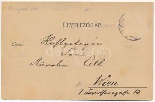 1898 Déva, Vármegyeháza, Piac tér, Fő utca, Déva vára, Vajdahunyad vára, Holtzer Károly üzlete. Hirs...