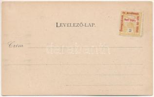 Felsővisó, Felső-Vissó, Viseu de Sus (Máramaros); Fő tér, látkép. Bárány Tivadar kiadása L.D.F. / ma...