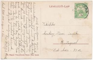 1911 Szentjobb, Szent-Jobb, Saniob (Bihar, Bihor); látkép / general view (fl)