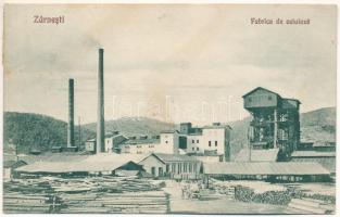 1927 Zernest, Zernyest, Zarnesti; Fabrica de celuloza / Cellulózgyár. Fotograf V. Gregorsch / cellulose factory, pulp factory (fl)