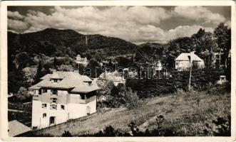 Szováta-gyógyfürdő, Baile Sovata; nyaralók / villas, spa