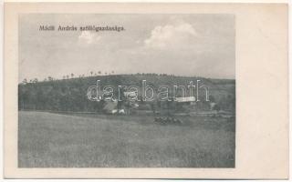 Torda, Turda; Mádli András szőlőgazdasága és saját kiadása / vineyards of Mádli